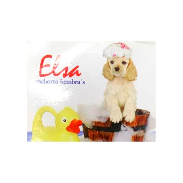 Elsa